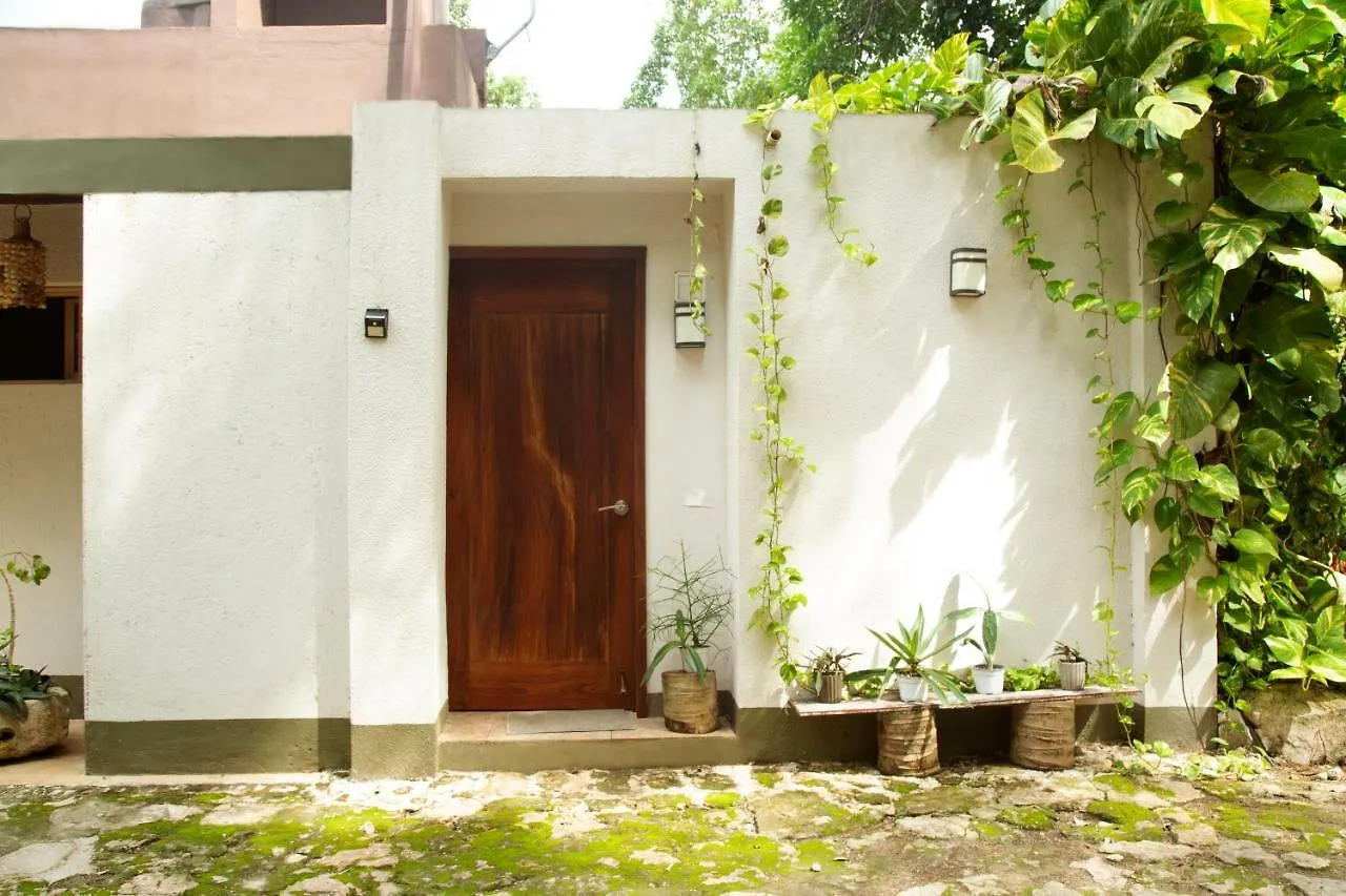 Private House Bacalar Lagoon Top Location 0*,  Mexico